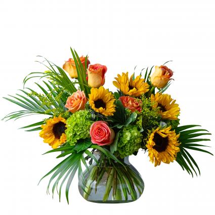 Sunflower Kisses Arrangement