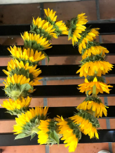 Sunflower Lei Graduation