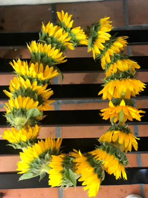 Sunflower Lei Graduation