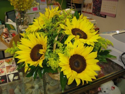 Sunflower Love 