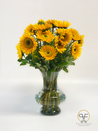 SUNFLOWER LOVE