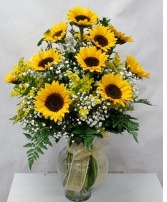 Sunflower Medley  