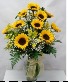Sunflower Medley  