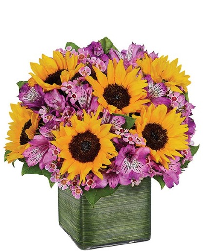 Sunflower Melody Any Occasion