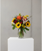 Sunflower Mix-Designers Choice  Sunflower Spotlights 