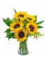 Sunflowers Forked River NJ by Sunflowers Florist