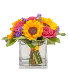 Sunflower of love for summer Everyday Occasion Arrangement