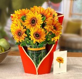 Sunflower Pop Up Greeting Card 