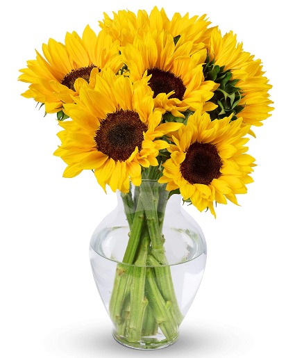 Sunflower Power Bouquet Arrangement