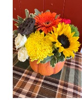 Sunflower Pumkin Autumn Thanksgiving