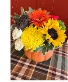 Sunflower Pumkin Autumn Thanksgiving
