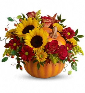 Sunflower Pumpkin Fall