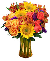 Sunflower Sampler Arrangement in Burlington, North Carolina | PHILLIPS FLORIST