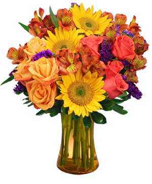 Sunflower Sampler Arrangement in Atmore, AL - ATMORE FLOWER SHOP