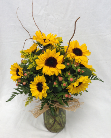Sunflower Sensation