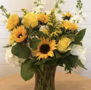 Sending Sunshine 