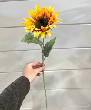 Sunflower silk stem