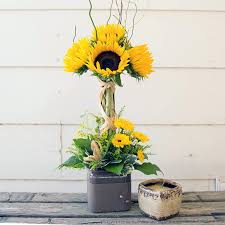SUNFLOWER SPECIAL SUNFLOWER TOPIARY