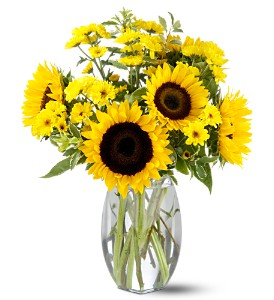 Sunflower Splash - 011 Vase Arrangement 