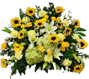 Sunflower Spread  