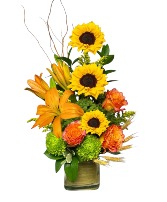 Sunflower Sunrise 