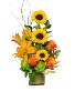 Sunflower Sunrise 