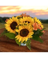 Sunflower Sunrise Arrangement 