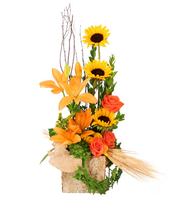 Sunflower Sunrise Flower Arrangement in Albany, NY | Ambiance Florals & Events