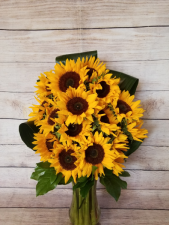 Sunflower Sunshine