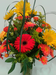 SUNFLOWER SUNSHINE MEDIUM