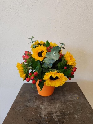 Sunflower Sunshine WEEKLY SPECIAL