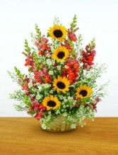 Sunflower Surpirise Fresh Flowers