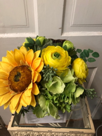 Sunflower Surprise
