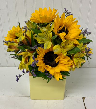 Sunflower Surprise