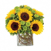 Sunflower Surprise Arrangement