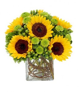 Sunflower Surprise cube vase arrangement