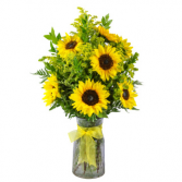 SIMPLY SUNFLOWERS 