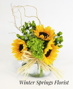 Sunflower Surprise Vased Arrangement in Winter Springs, FL | WINTER SPRINGS FLORIST AND GIFTS Sunflower Surprise Vased Arrangement in Winter Springs, FL | WINTER SPRINGS FLORIST AND GIFTS