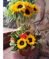 Sunflower Topiary fresh arrangement