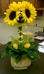 SUNFLOWER TOPIARY HOUSE, HOSPITAL OR JUST BECAUSE