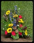 Purchase this funeral home arrangement