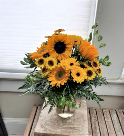 Sunflower Wow! 