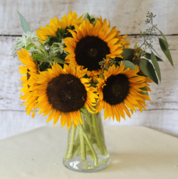 Sunflowers