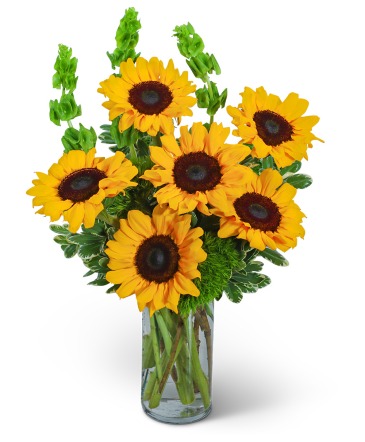 Sunflowers and Bells Flower Arrangement in Nevada, IA | Flower Bed