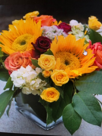 Sunflowers and Citrus