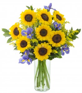 Sunflowers and Iris