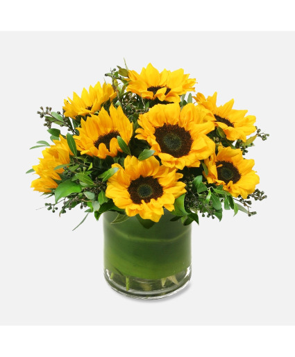  Sunflowers  Bouquet 