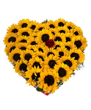 Sunflowers Box Box Arrangement