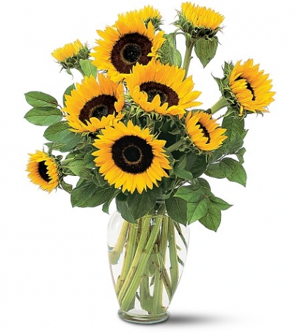 Sunflowers in a Vase Floral Arrangement