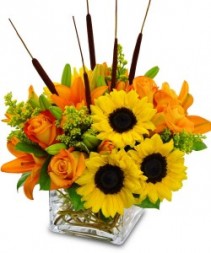 Sunflowers in Cube Cube Vase with Fall Flowers